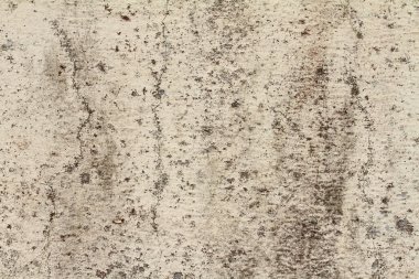 Beton duvarın dokusu ve rengi