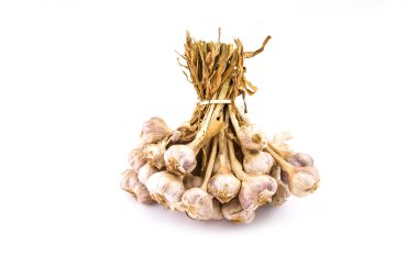 Beyaz arkaplanda sarımsak