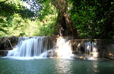 Tropikal ormanda şelale
