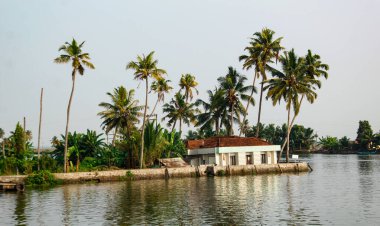Alappuzha ya da Alleppey, Kerala, Hindistan - 09 Şubat 2016: Gölün ortasındaki küçük bir adada bir ev. Ev palmiye ağaçlarıyla çevrili. Alappuzha (Alleppey). Kerala