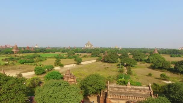 Bagan landskap med tempel — Stockvideo