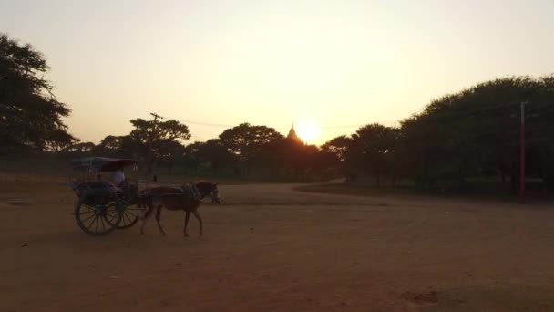 Carruaje de caballos en Bagan — Vídeo de stock