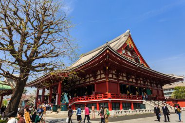 Asakusa kannon Tapınağı.