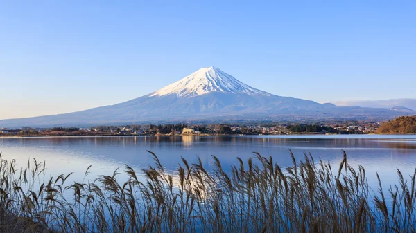 Mount fuji at Lake kawaguchiko. — Stock Photo, Image
