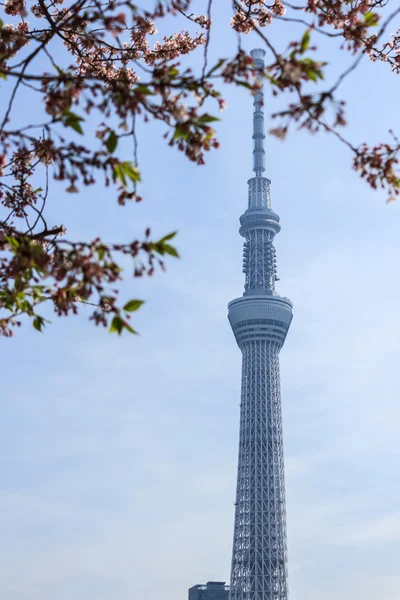 Tokyo sky tree. — Stockfoto