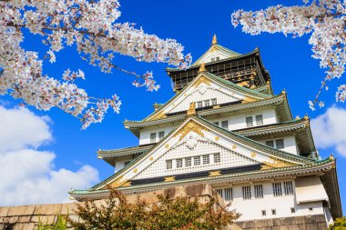 Osaka Osaka Kalesi ile kiraz çiçeği. Japonya.