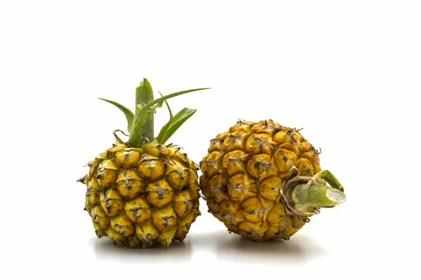 Sweet Pineapple fruit. — Stock Photo, Image