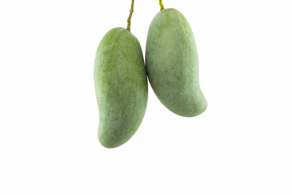 Свежий зеленый манго . — стоковое фото