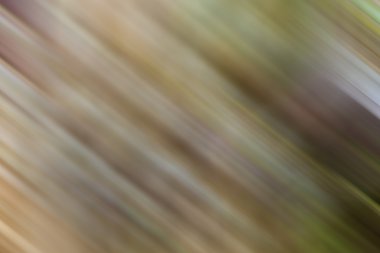 şeker kamışı tesisleri kapatmak.