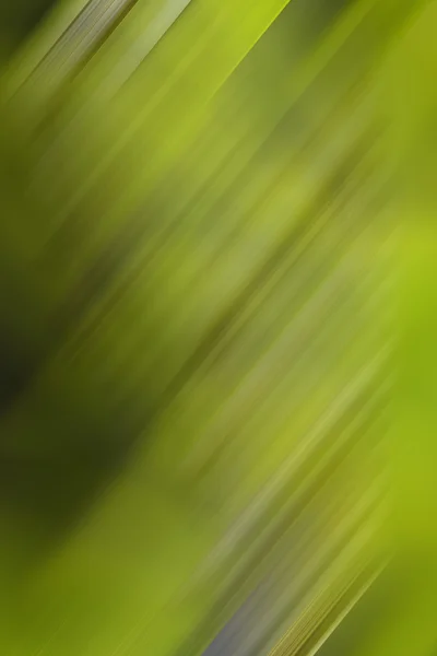 Fondo de naturaleza abstracta — Foto de Stock