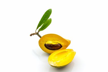 Yumurta meyve, Canistel, sarı Sapote.