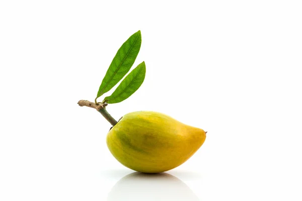 Egg fruit, Canistel, Yellow Sapote. — Stock Photo, Image