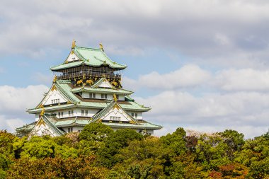 Japon kale.