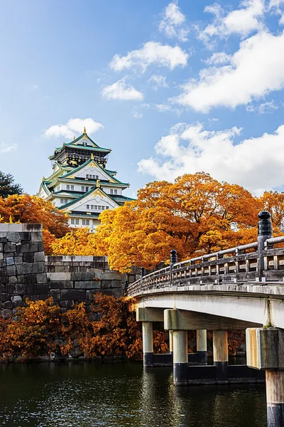 日本的城堡与秋天的落叶. — 图库照片