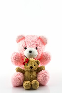 pembe ve kahverengi ayıcık.