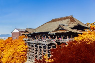 Kiyomizu-dera Tapınağı Kyoto ile sonbahar yaprakları, Japonya.