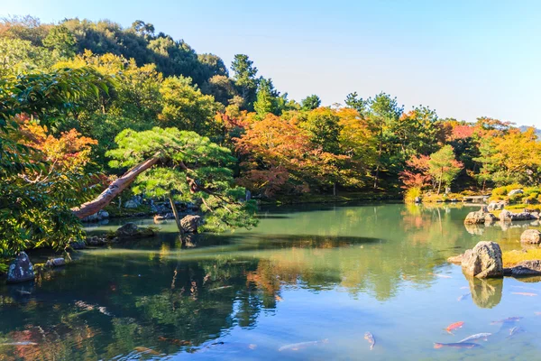 Tenryuji Sogenchi Pond Garden, Kyoto, Japan. — Stock Photo, Image