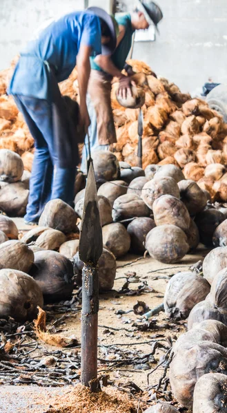 Coltello in acciaio per spaccare le noci di cocco . — Foto Stock