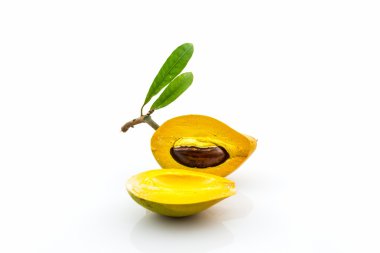 Yumurta meyve, Canistel, sarı sapot (Pouteria campechiana (Kunth