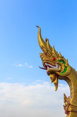 Altın yılan kafası .