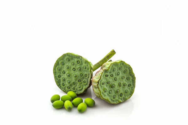 Calice, semi di loto verde  . — Foto Stock