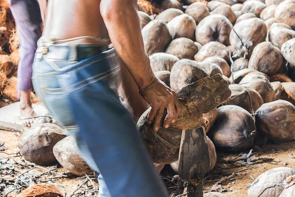 Mężczyzna łuskanie kokosy — Zdjęcie stockowe