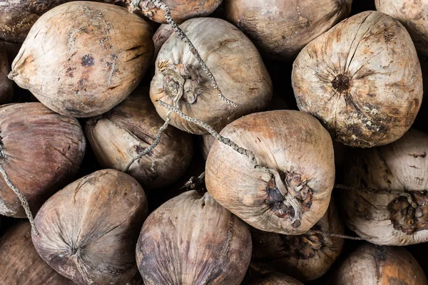 Group of dry coconut . — Stock Photo, Image