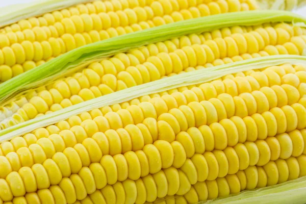 Fresh organic corn, Maize. — Stock Photo, Image