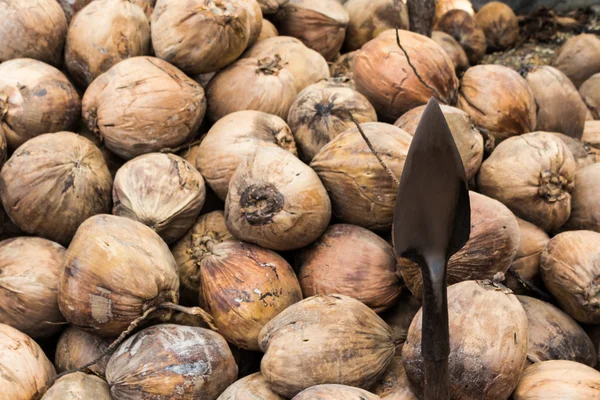 Couteau en acier pour fendre les noix de coco . — Photo