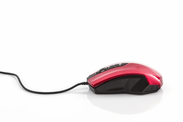 Computer mouse. — Stock Photo, Image