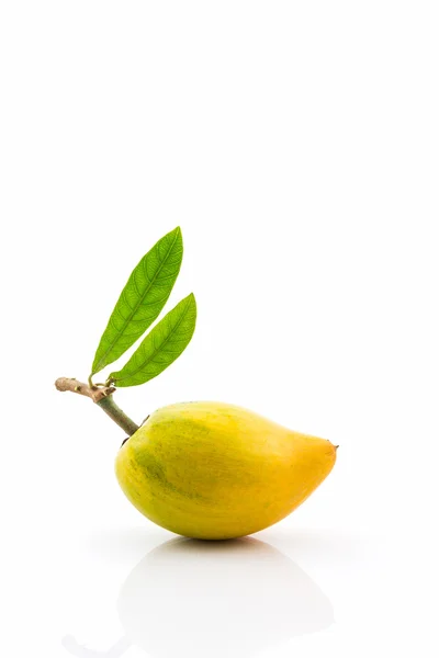 Fruta de ovo no fundo branco, Canistel, Sapote amarelo  . — Fotografia de Stock