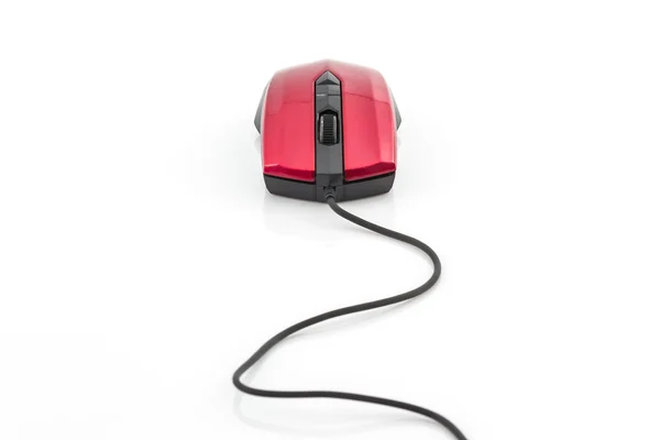 Computer mouse. — Stock Photo, Image