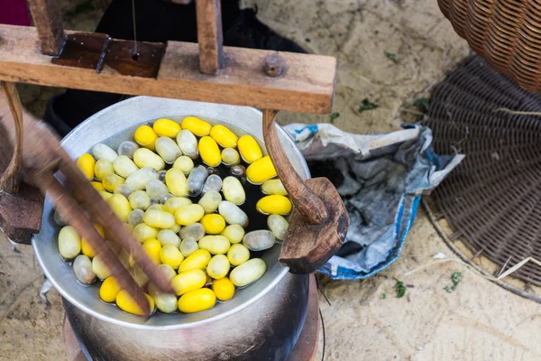 Proceso de producción de seda, gusano de seda de huevo a gusano . — Foto de Stock