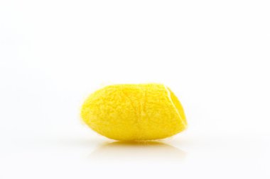 İpekböceği koza kadar kapatın.