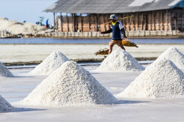 Farmers are harvesting salt in the salt fields. — Stock Photo, Image