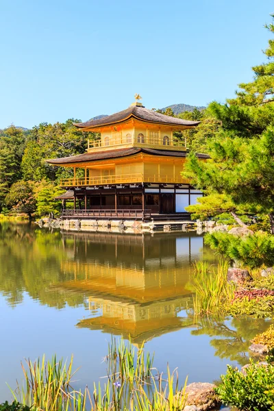 Храм Кинкакудзи, золотой храм с отражением воды . — стоковое фото