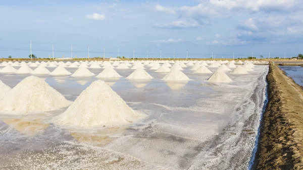 Montón de sal marina en la granja de sal lista para la cosecha . — Foto de Stock