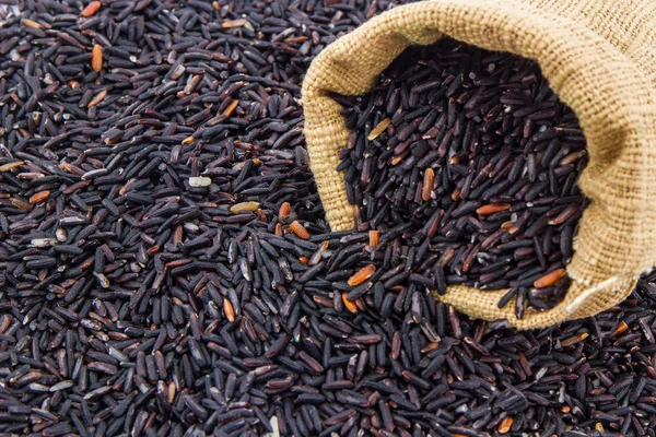 Arroz de bayas en pequeño saco de arpillera  . — Foto de Stock