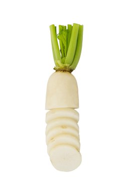 Daikon turp, Raphanus sativus L.