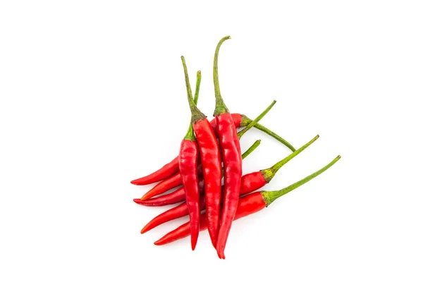 Rote Chili- oder Chilischote. — Stockfoto