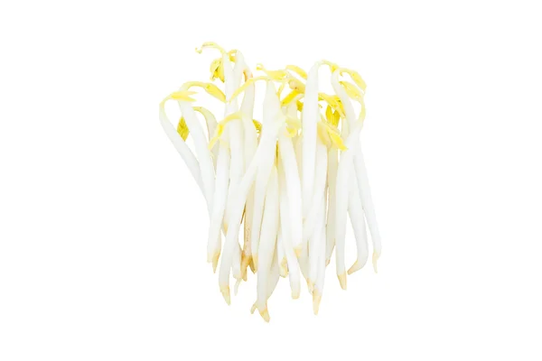 Bean sprout. — Stock Photo, Image