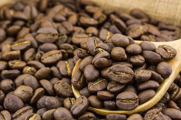 Coffee beans. — Stock Photo, Image