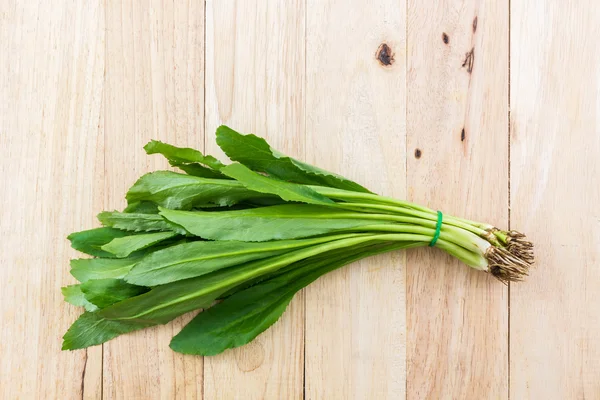 Culantro o perejil . — Foto de Stock