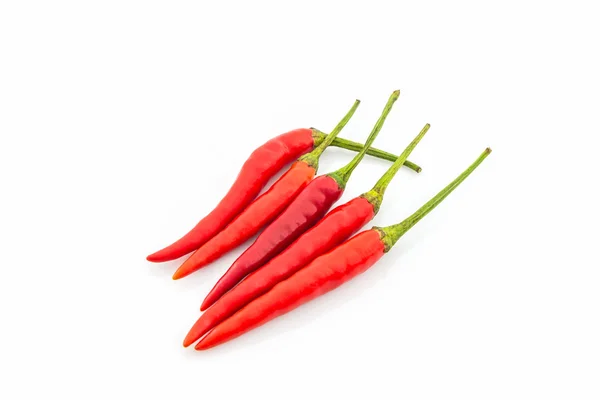 Rote Chili- oder Chilischote. — Stockfoto