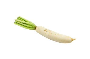 Daikon turp, Raphanus sativus L.