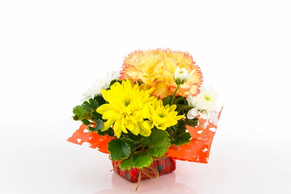 Kytice karafiátů a chryzantéma květi. — Stock fotografie