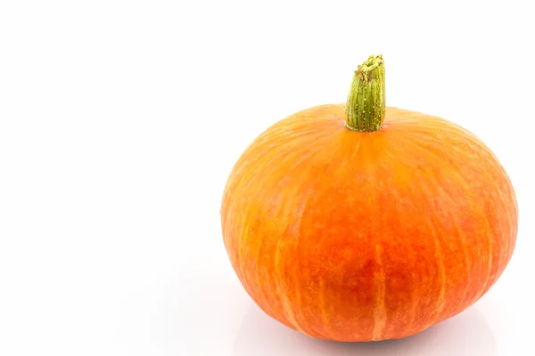 Fresh orange pumpkin. — Stock Photo, Image