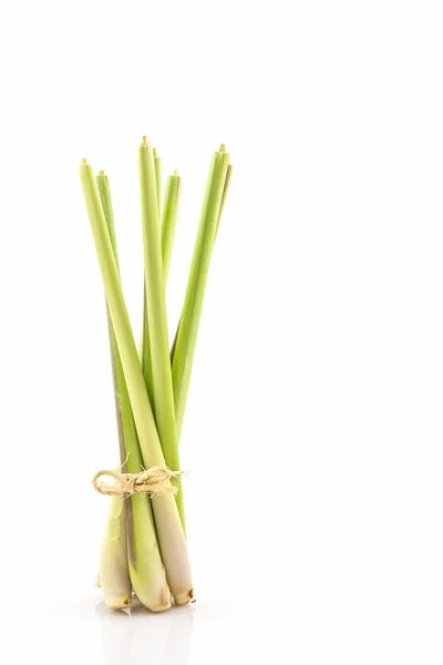 Citronella o olio erba . — Foto Stock