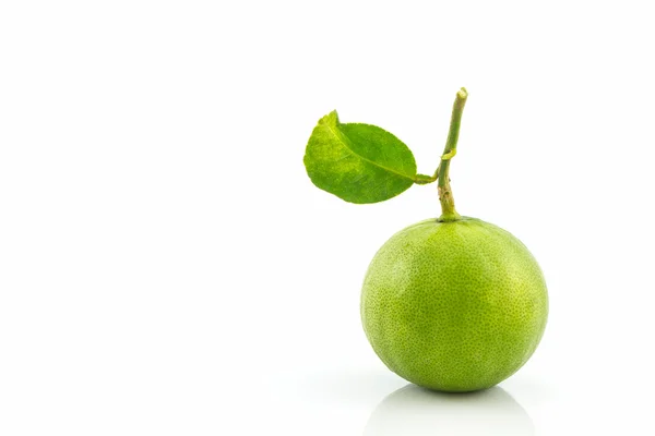 Close up fresh limes. — Stock Photo, Image