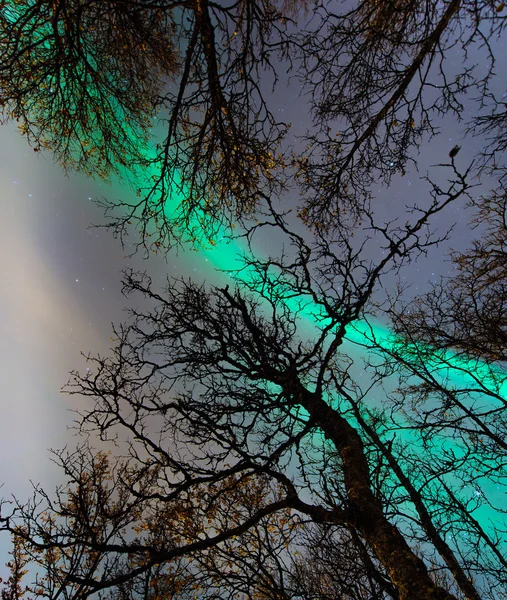 De polar lichten in Noorwegen — Stockfoto